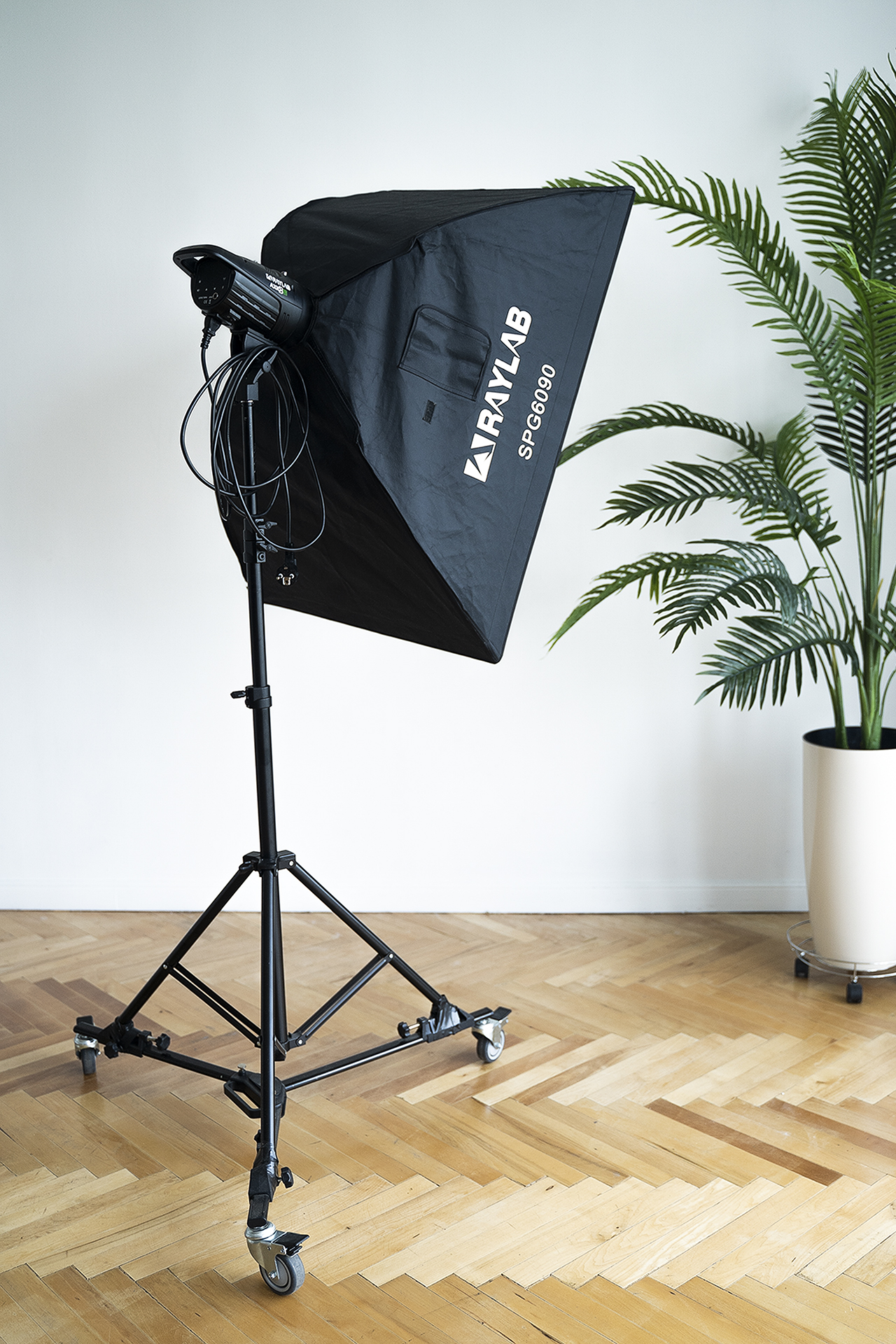 Творчество